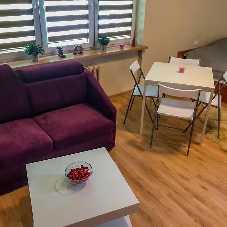 Cosy Studio In Quiet Location Pulawy Luaran gambar