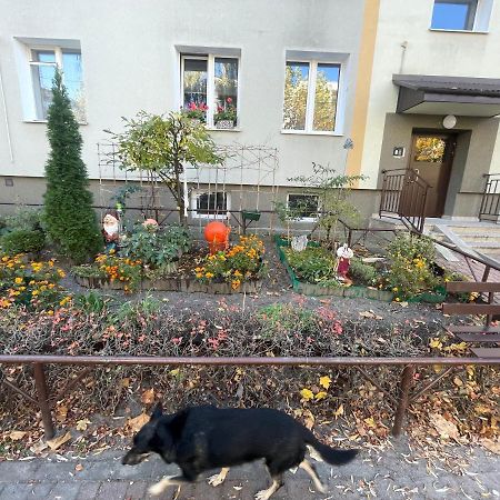 Cosy Studio In Quiet Location Pulawy Luaran gambar