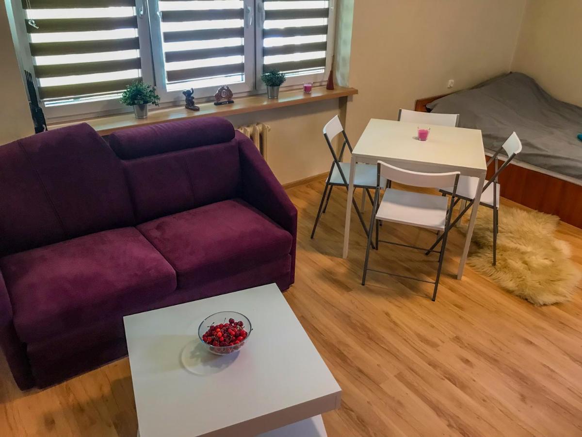 Cosy Studio In Quiet Location Pulawy Luaran gambar